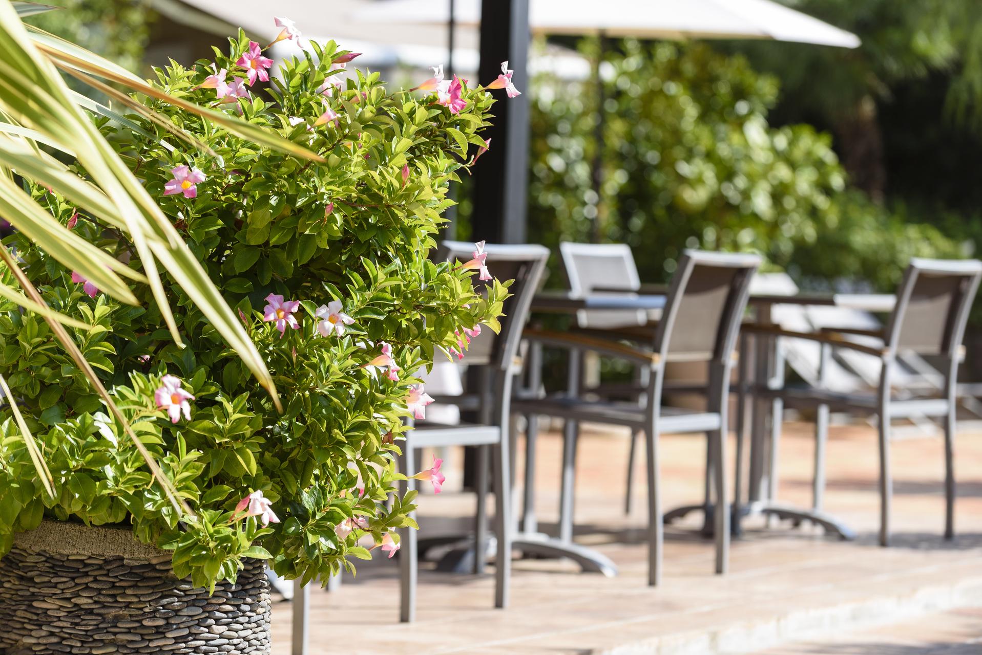 Domaine Du Calidianus Hotel Sainte-Maxime Bagian luar foto